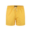 St Lucia Swim Shorts